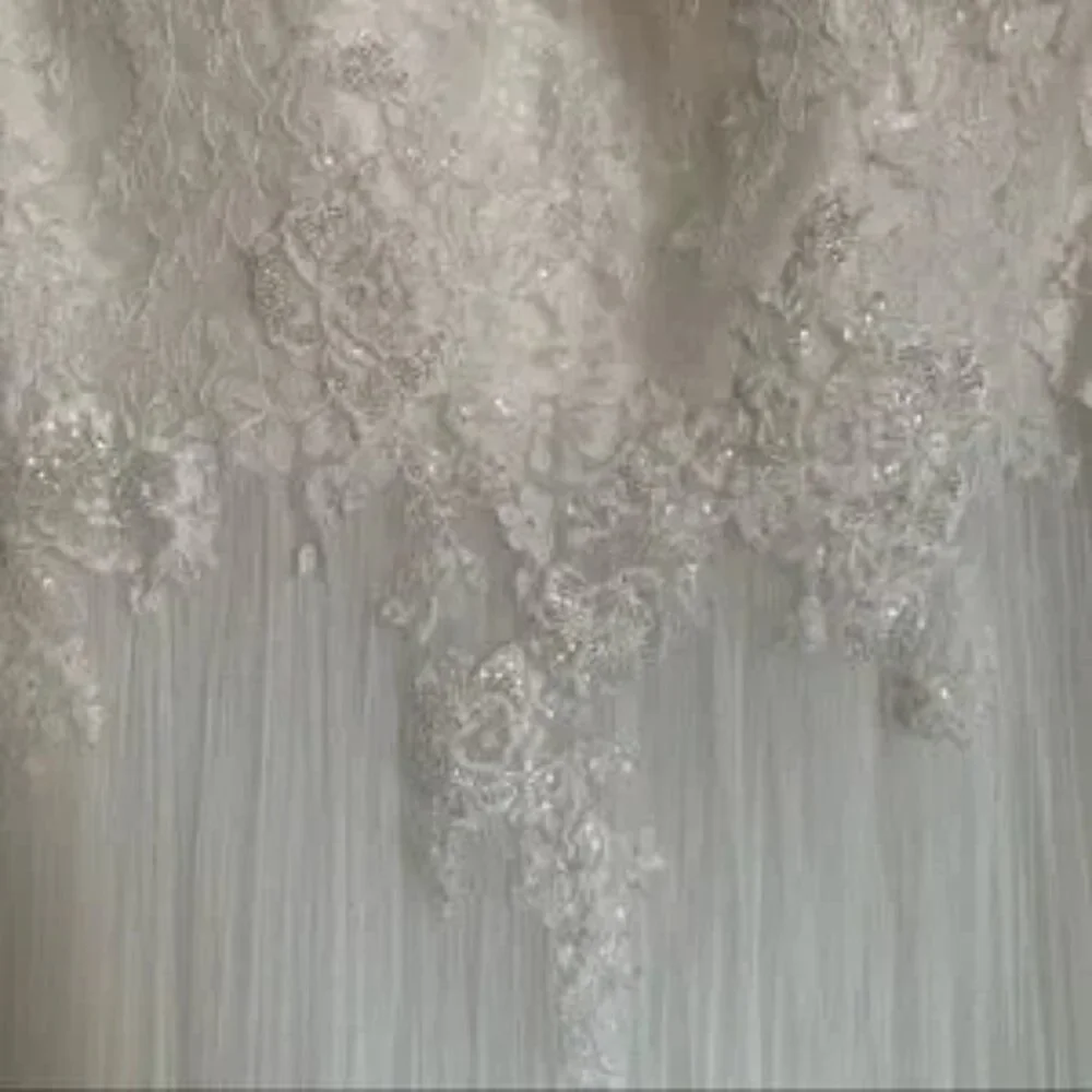 Pronovias Draconia Wedding Dress - Picture 6 of 13